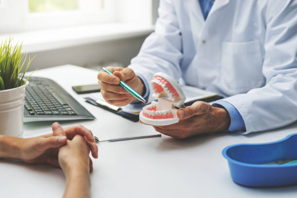 Trusted Northbrook, IL Holistic Dental Care Services Experts